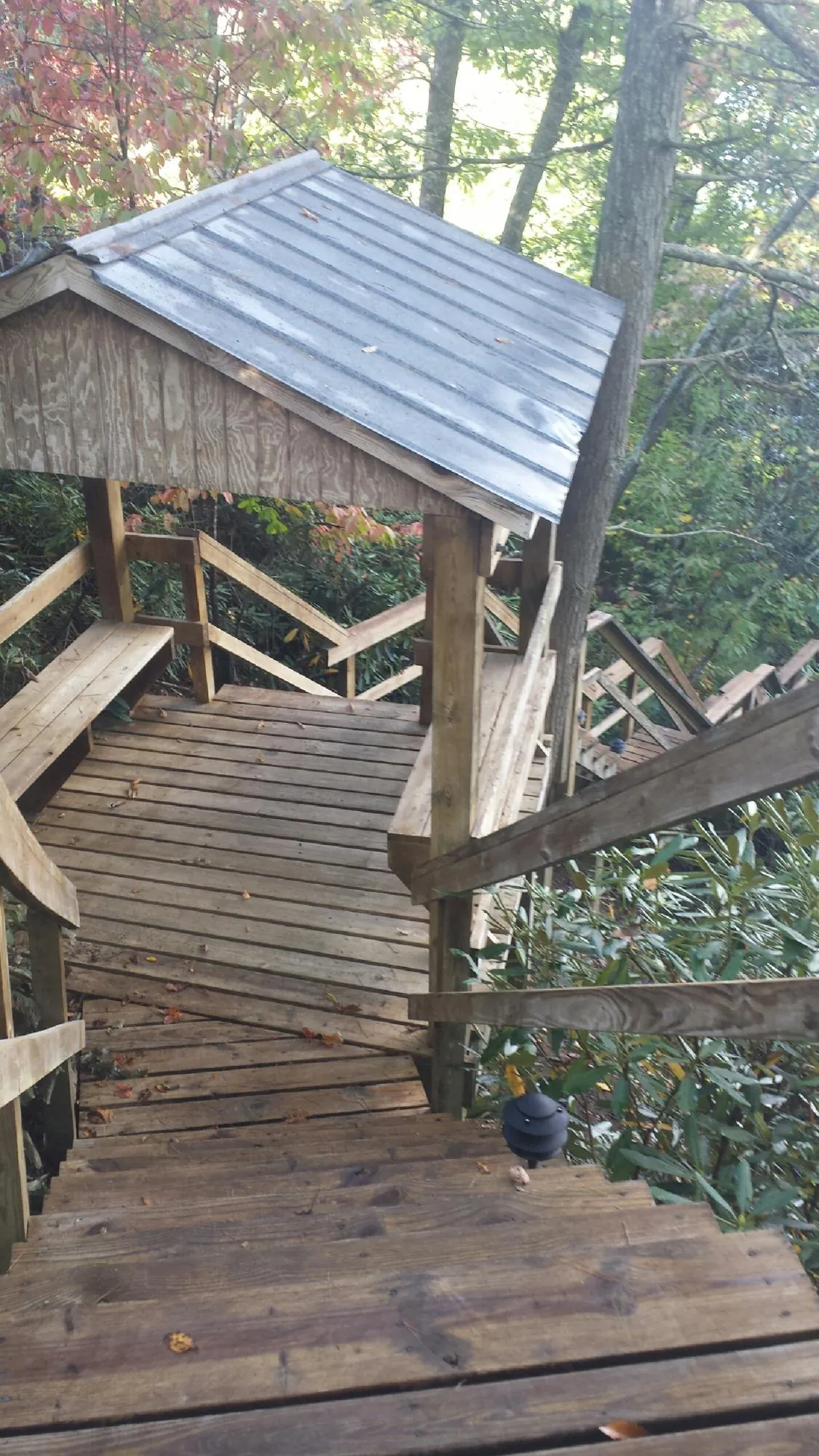 Metal roofed shelter over wooden steps on a wooded walkway in Woodburn